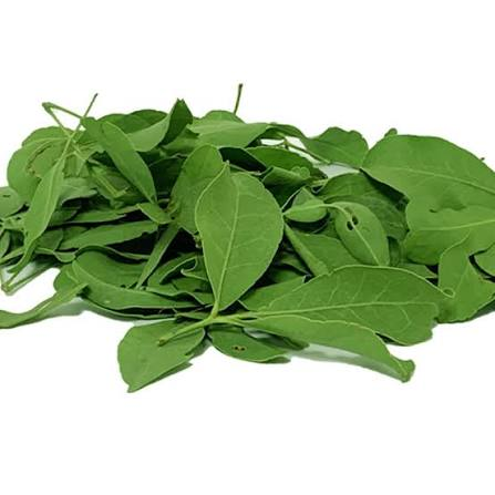 Vilvam Leaf (Bilva Leaf) 10g