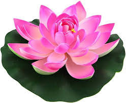 Lotus Plastic(1Pcs) - Everyday Pooja Utility Item