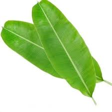 Banana Leaf (Vazhai Ilai) (2 Pcs)