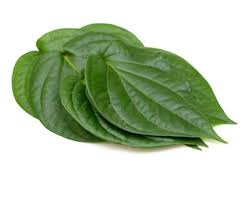 Betel Leaves (Vetrilai) 50g (10 Pcs)