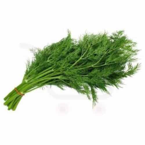 Fresh Dill Leaves (Bunch) � Fresh & Aromatic