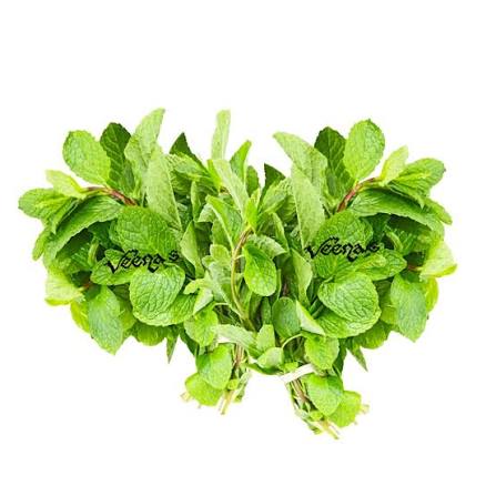 Fresh Mint Leaf (Pudina) (Bunch of 2)