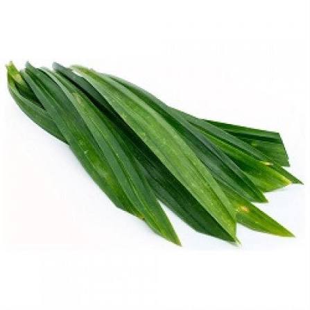 Rambai Leaf (Single) - Aromatic Herb Leaves