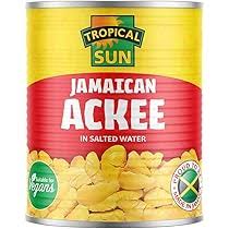 Tropical Sun Jamaican Ackee In Salted Water 280g