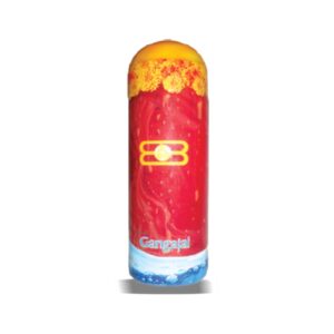 Gandhi Herbal Gangajal 250ml