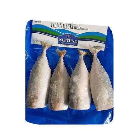 Neptune Indian Mackeral (HeadLess) 600g