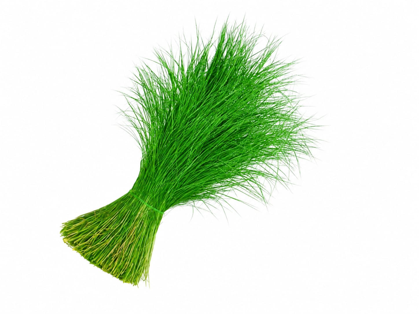 Green Grass (Arugampul) 20g