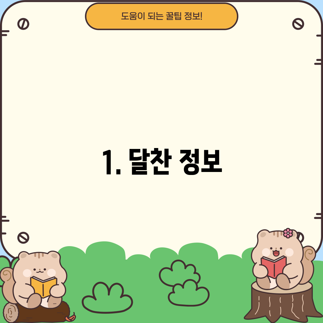 1. 달찬 정보