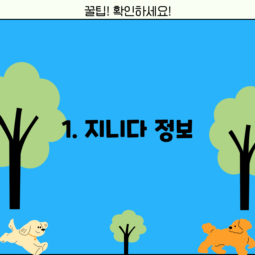 1. 지니다 정보
