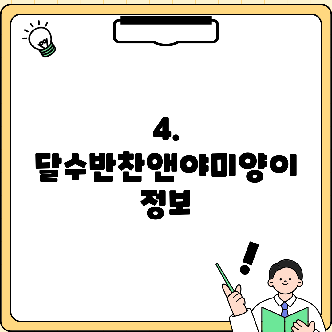 4. 달수반찬앤야미양이 정보