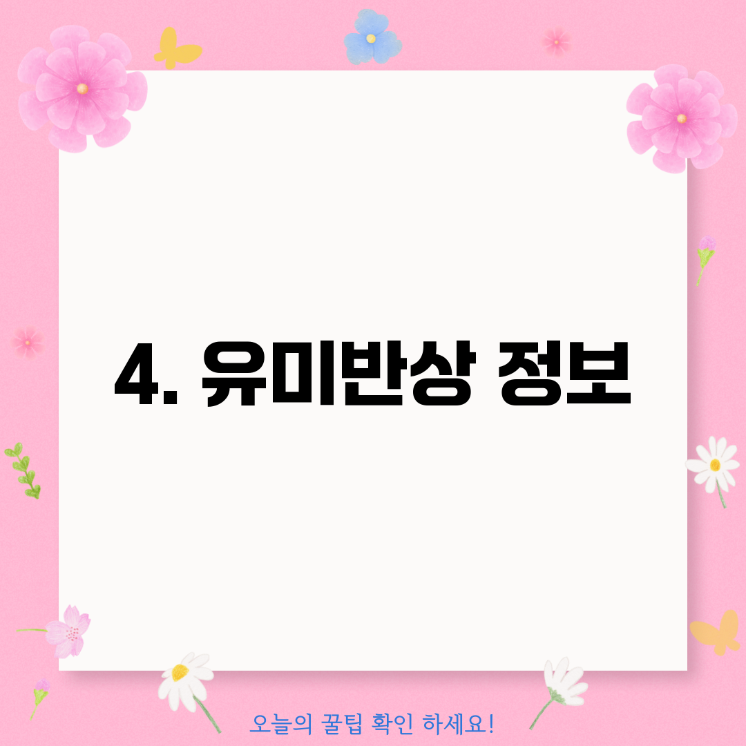 4. 유미반상 정보