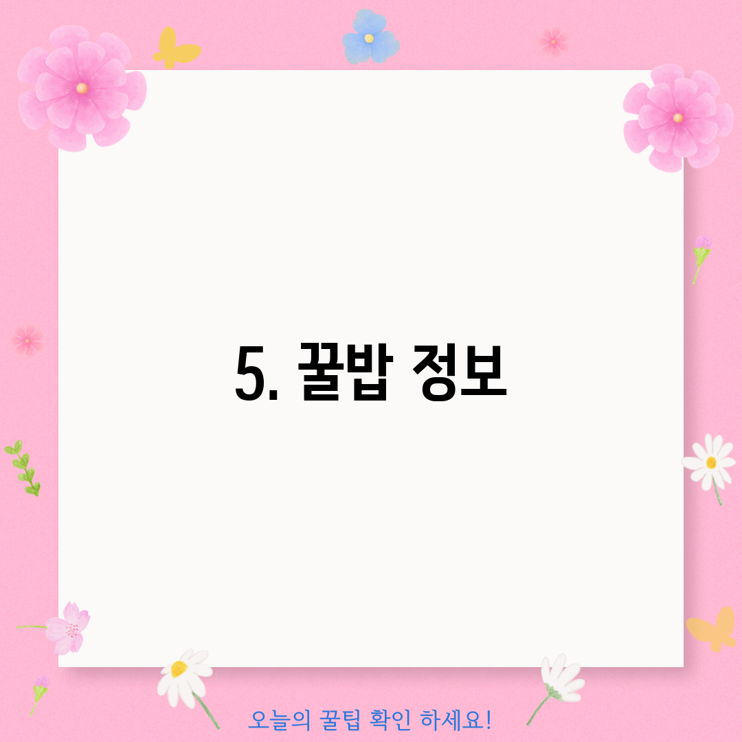 5. 꿀밥 정보