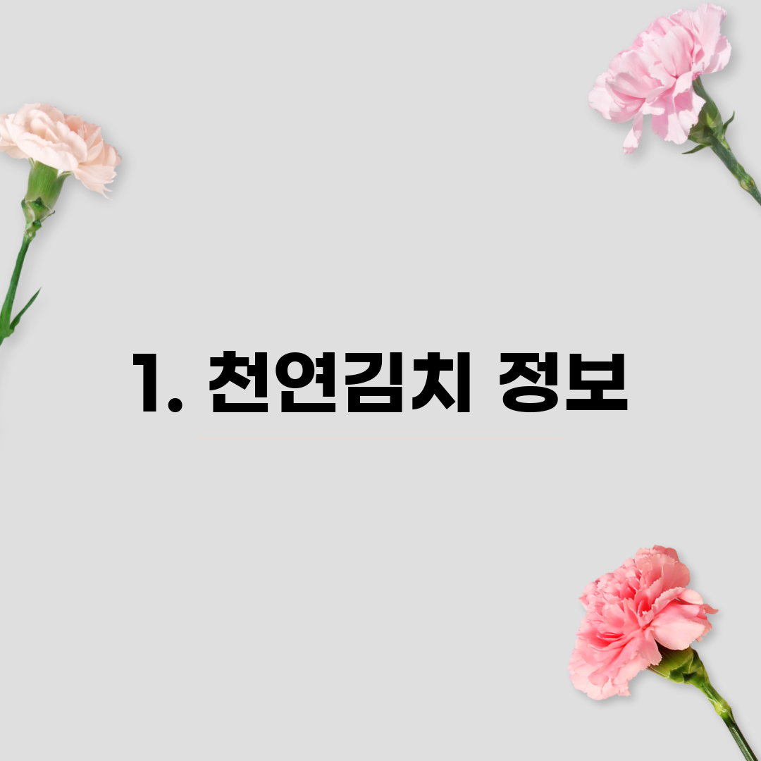 1. 천연김치 정보