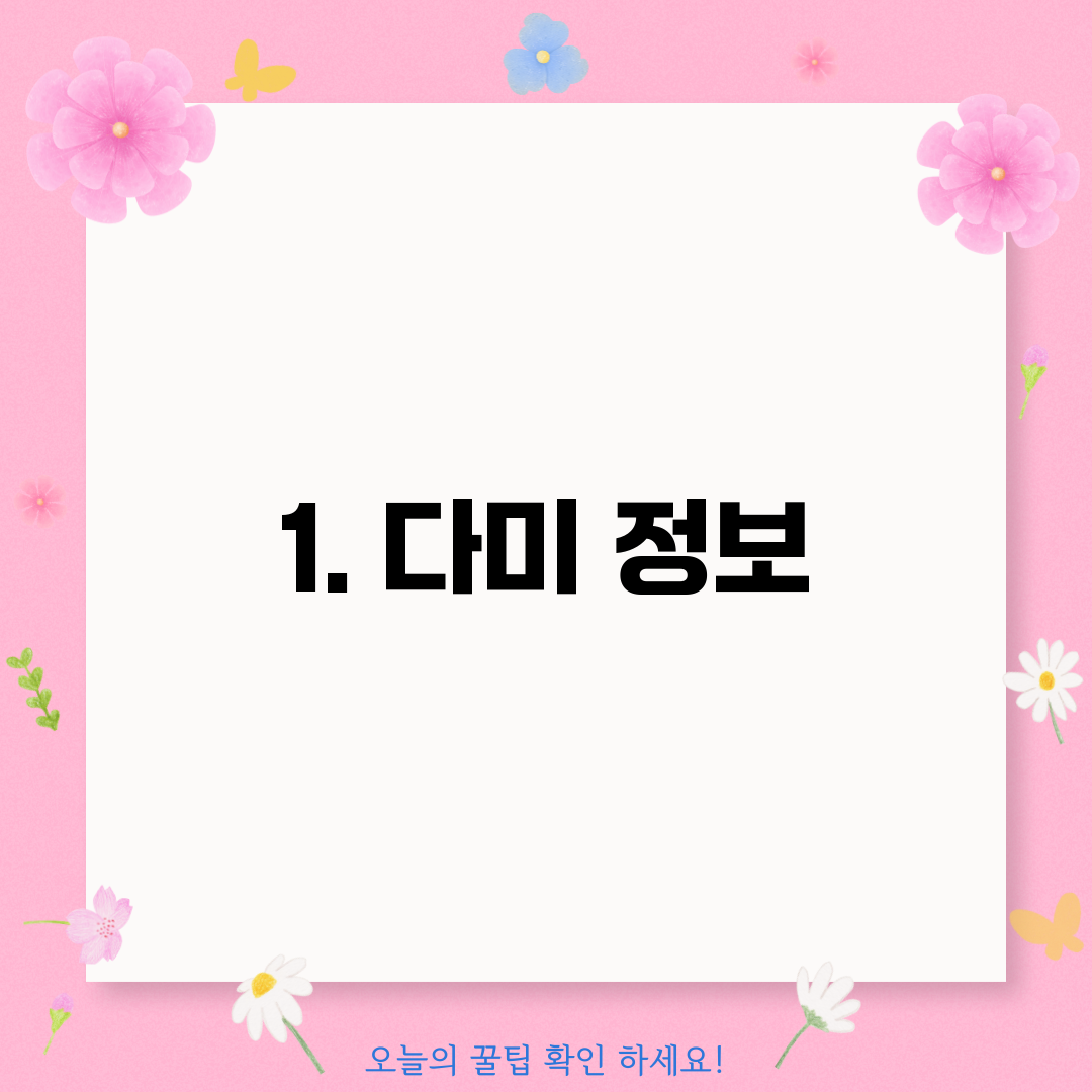 1. 다미 정보