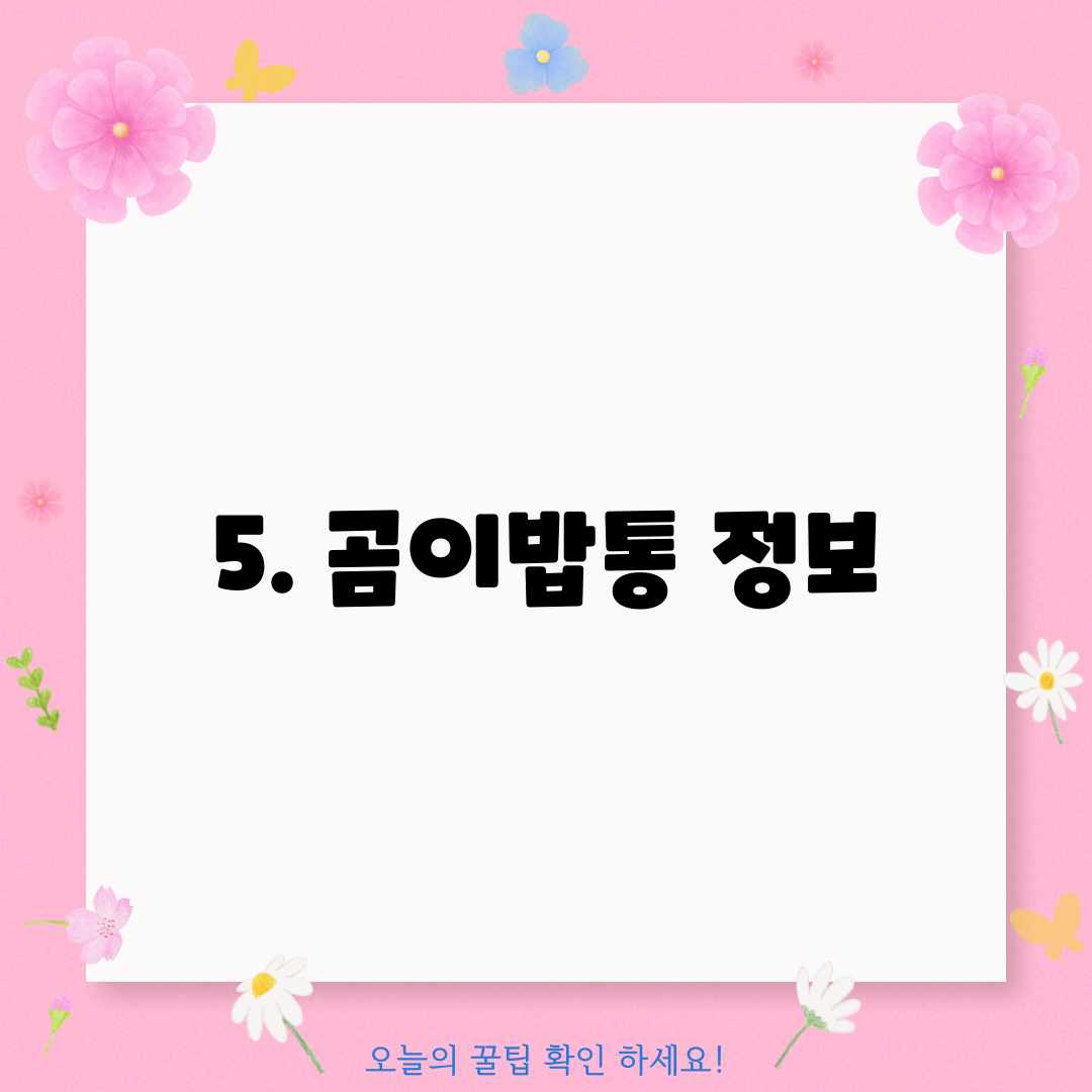 5. 곰이밥통 정보