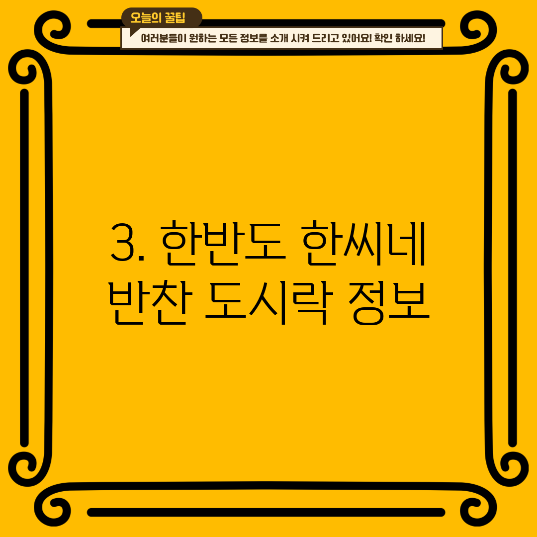 3. 한반도 한씨네 반찬 도시락 정보