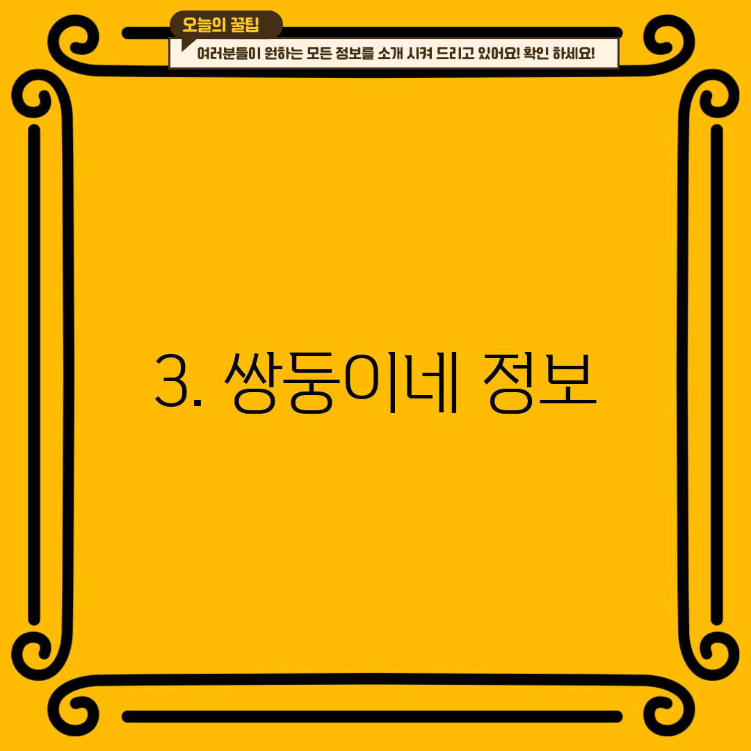 3. 쌍둥이네 정보