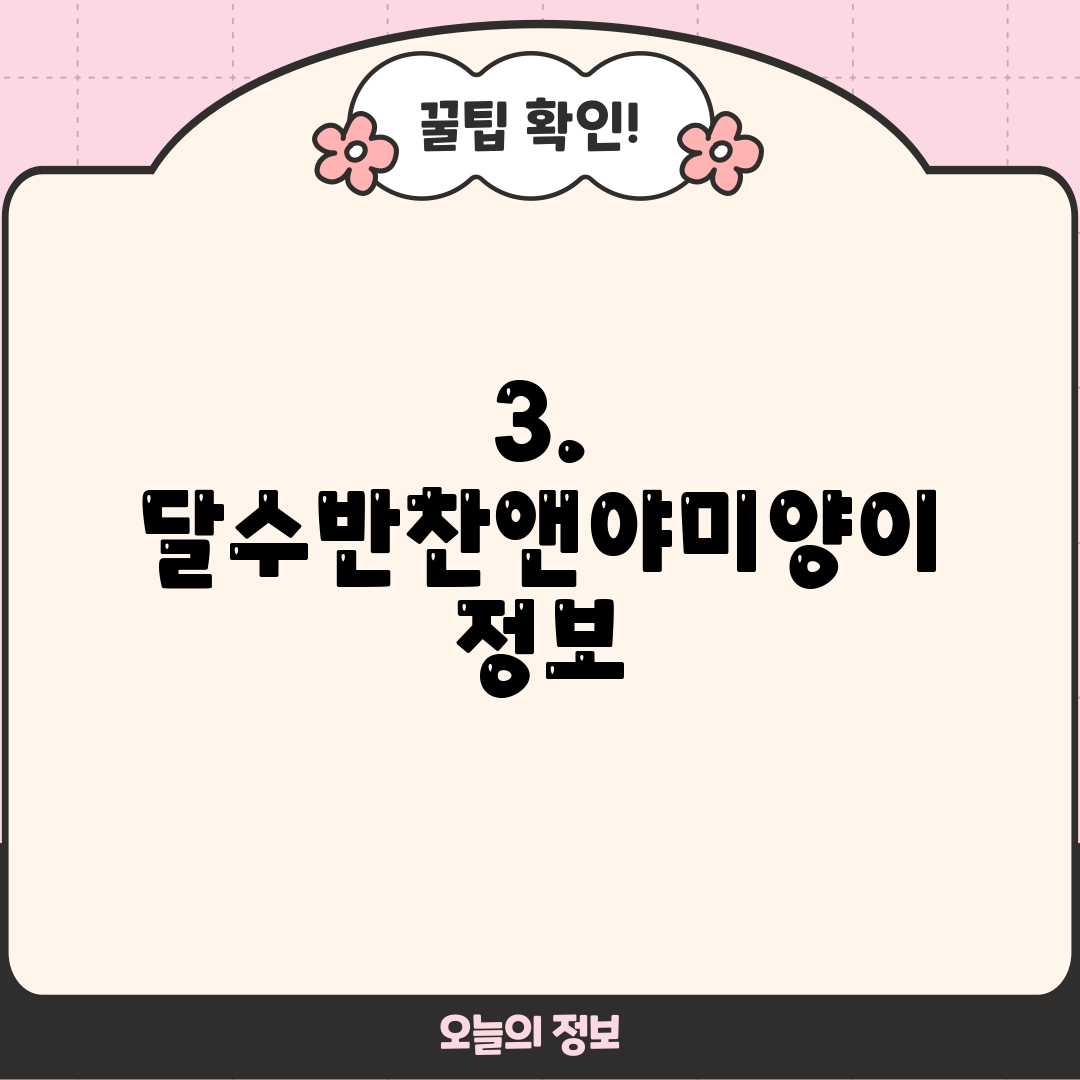 3. 달수반찬앤야미양이 정보