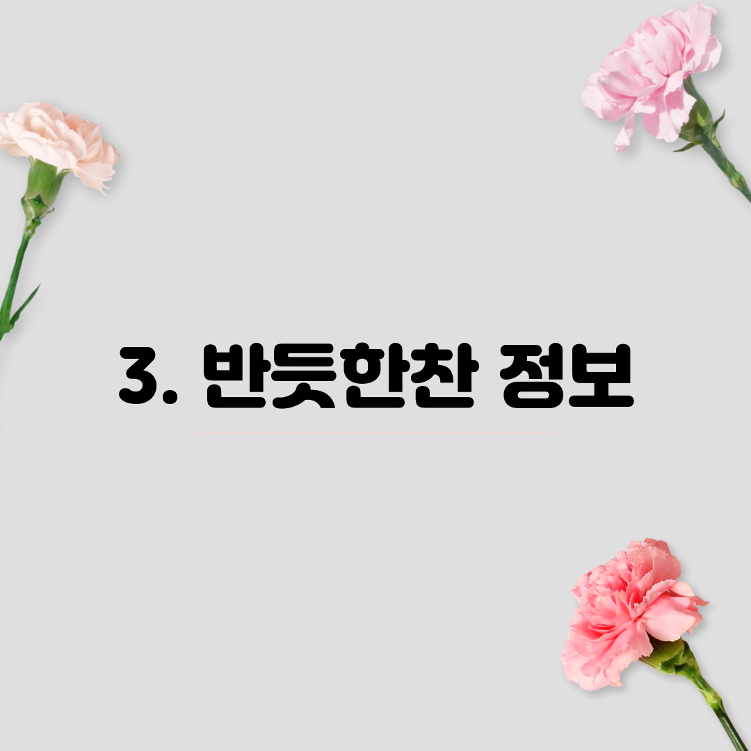 3. 반듯한찬 정보