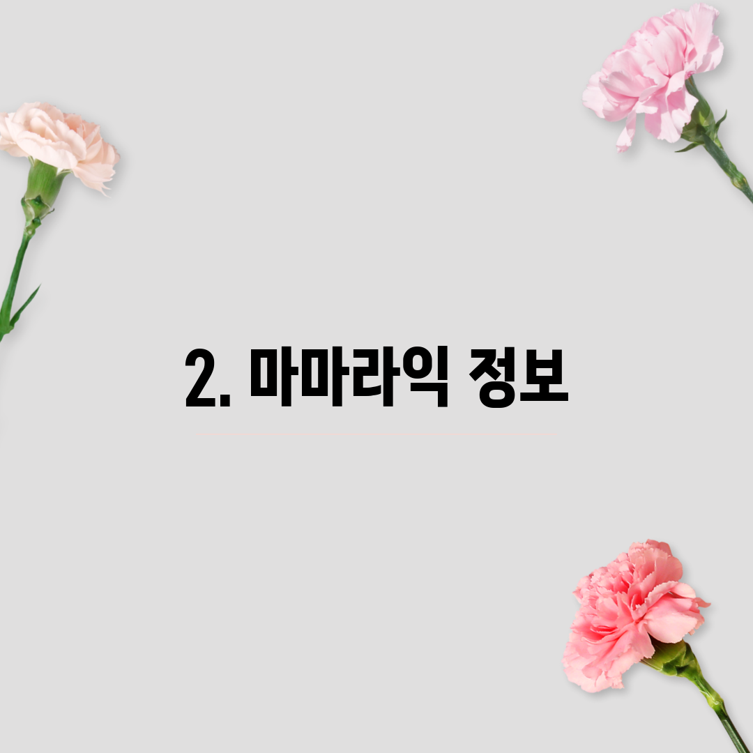 2. 마마라익 정보