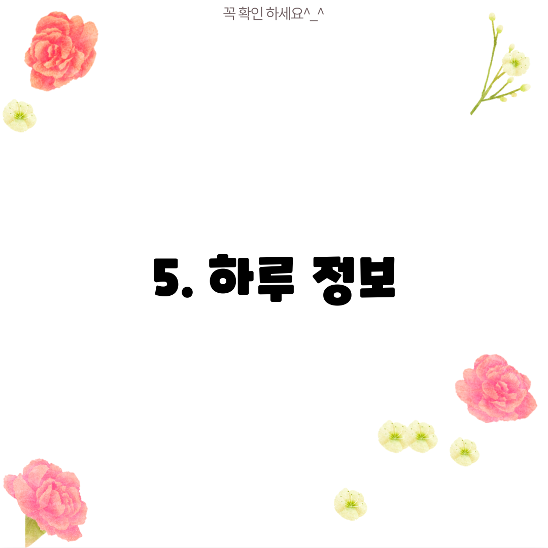 5. 하루 정보