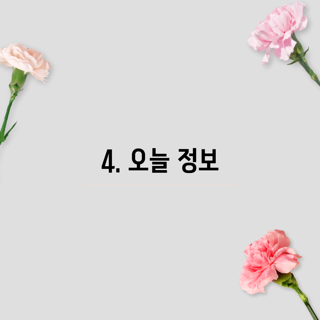 4. 오늘 정보