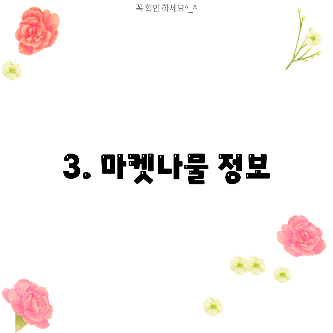 3. 마켓나물 정보