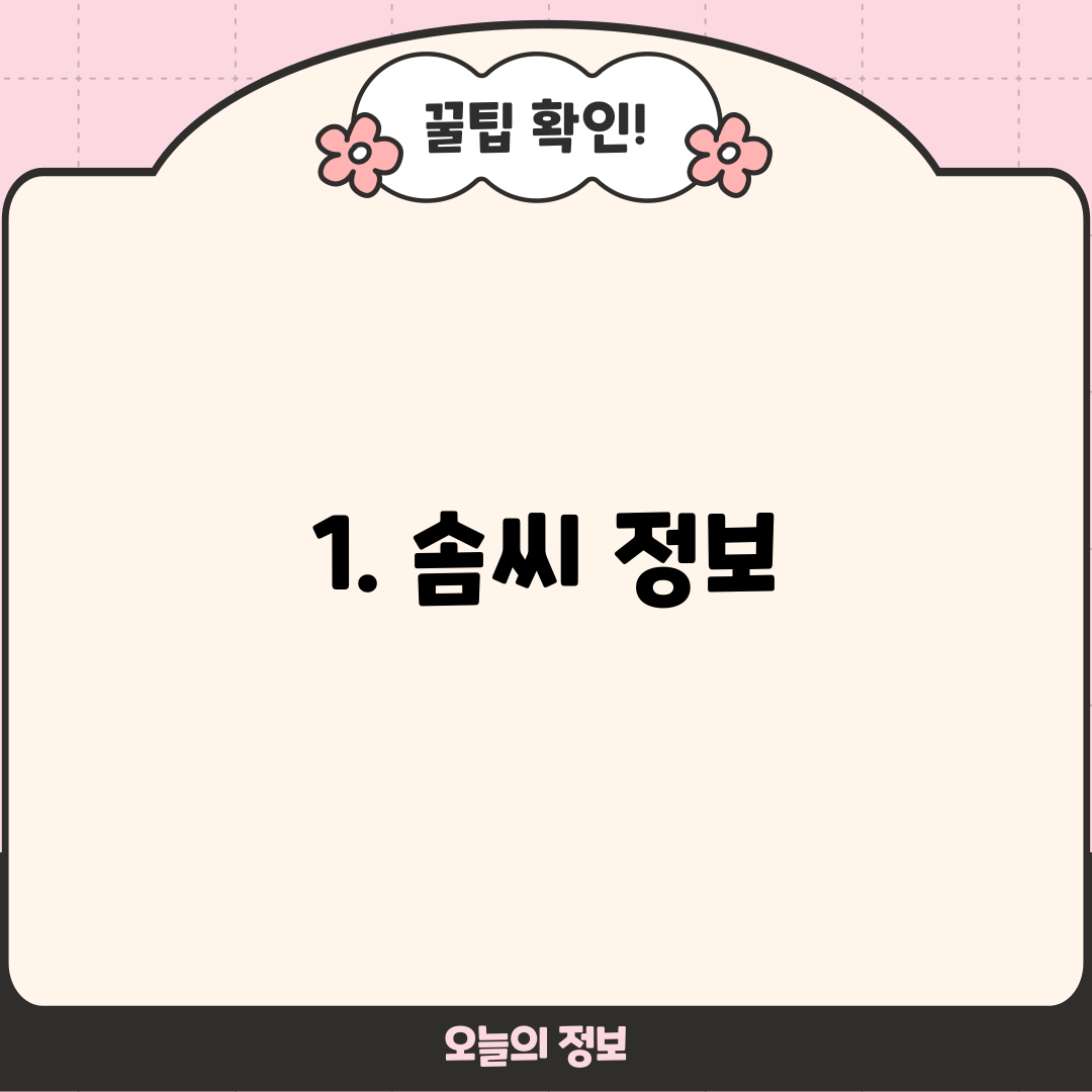 1. 솜씨 정보