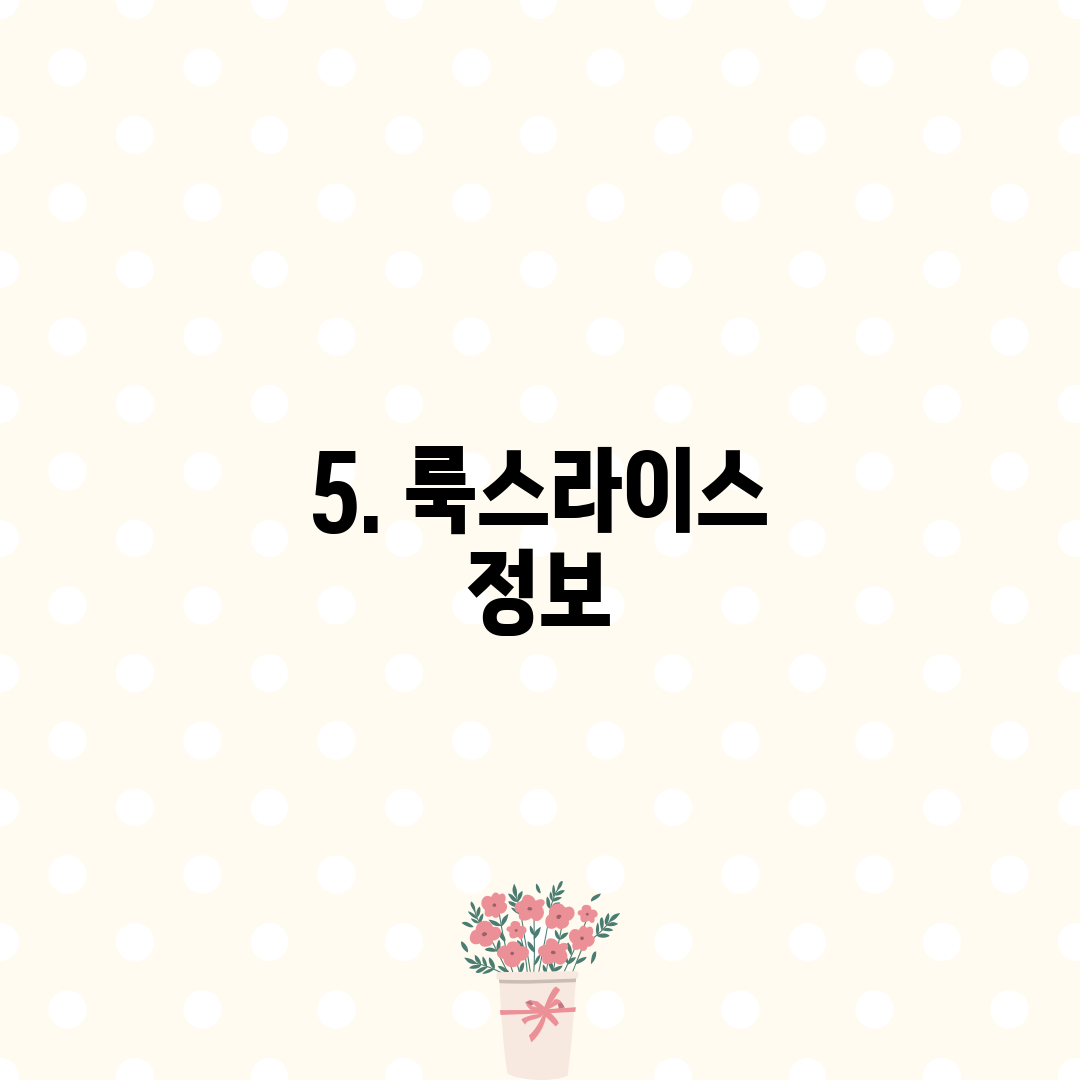 5. 룩스라이스 정보