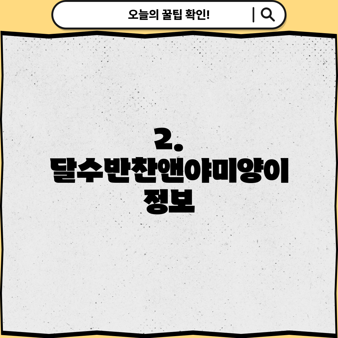 2. 달수반찬앤야미양이 정보