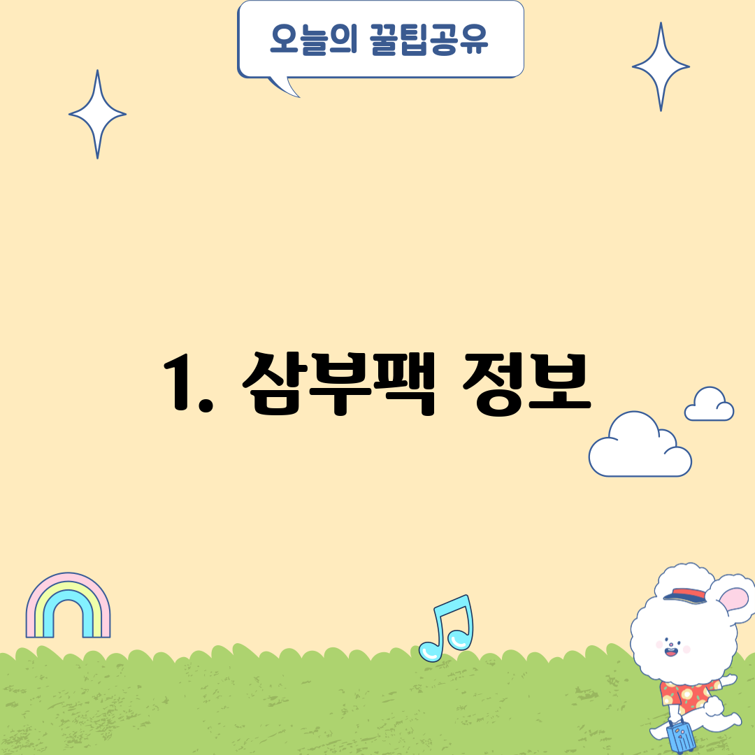 1. 삼부팩 정보