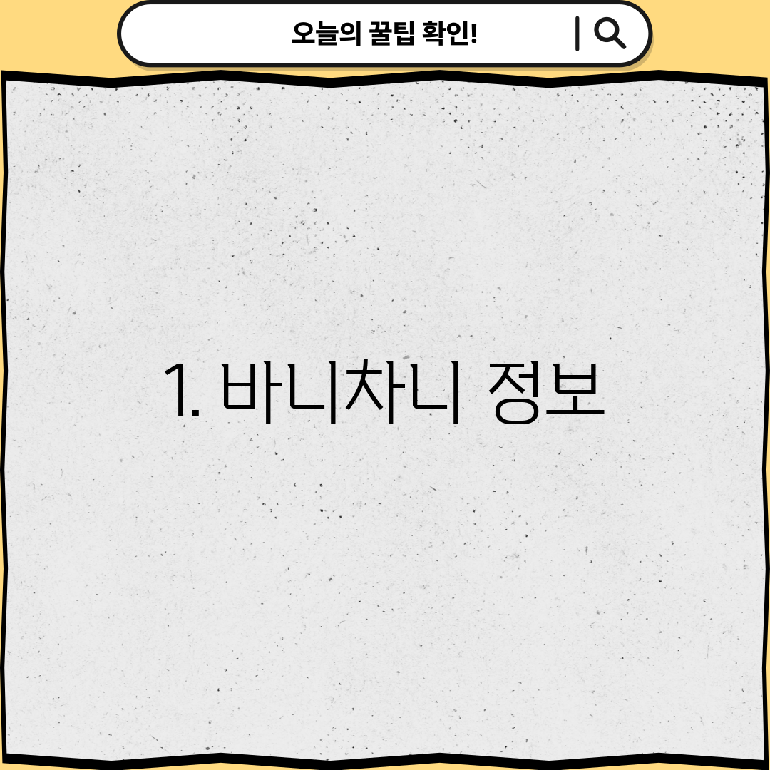 1. 바니차니 정보