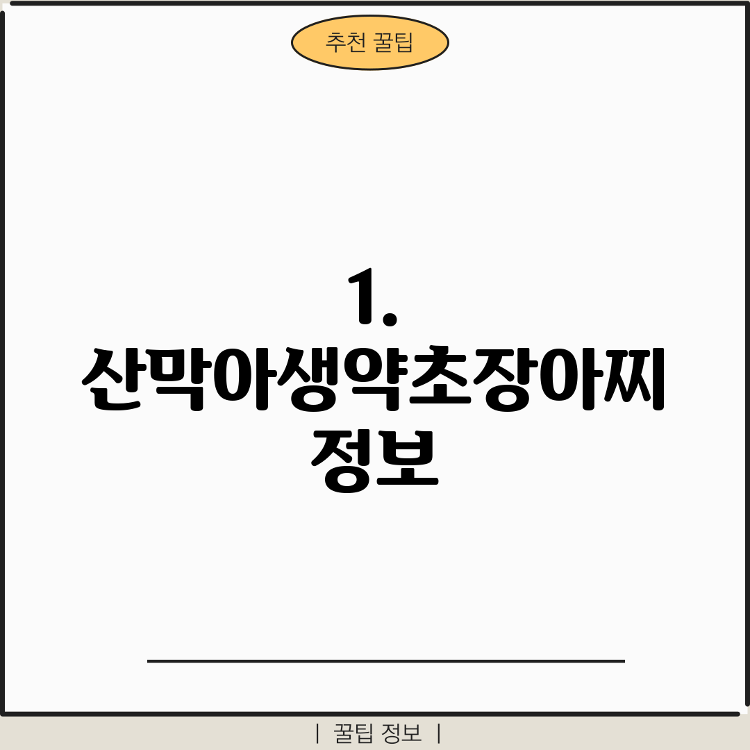 1. 산막아생약초장아찌 정보