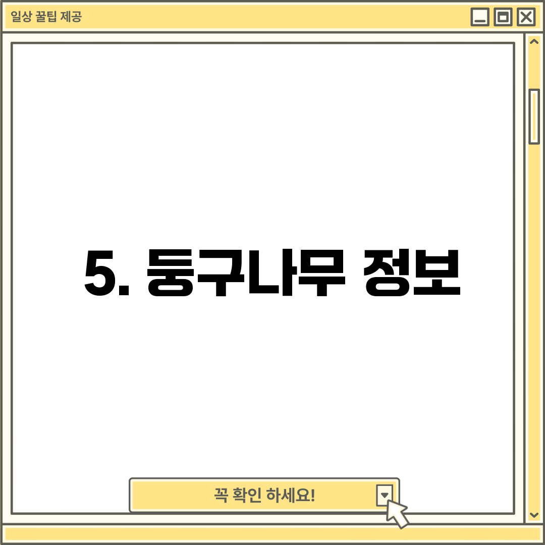5. 둥구나무 정보