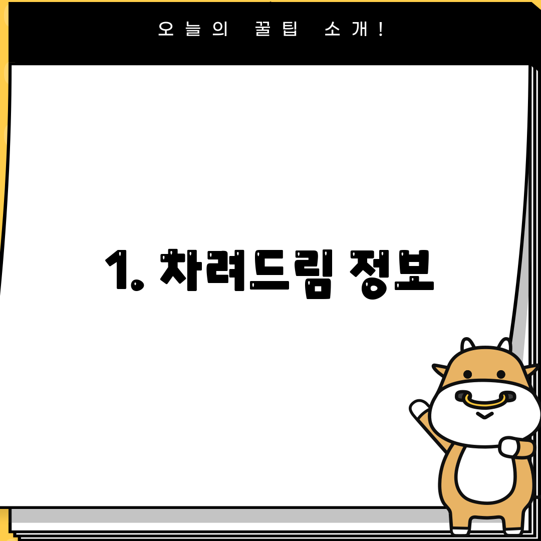 1. 차려드림 정보