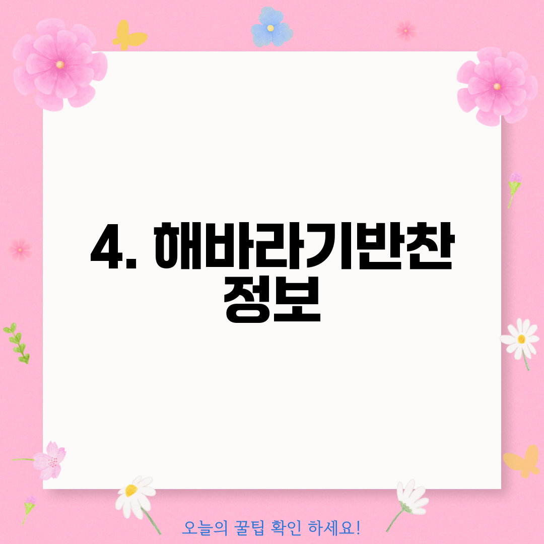 4. 해바라기반찬 정보