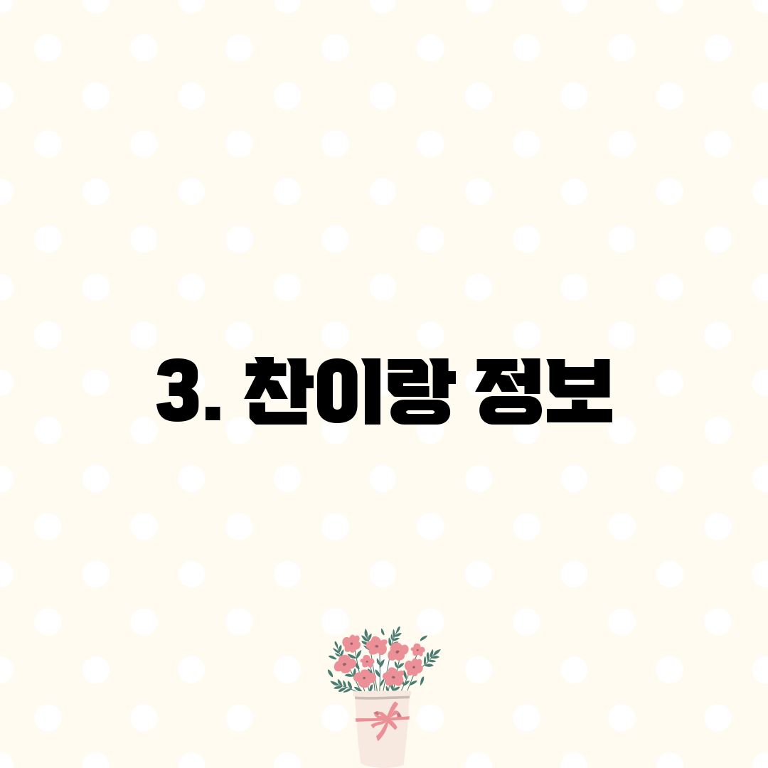 3. 찬이랑 정보