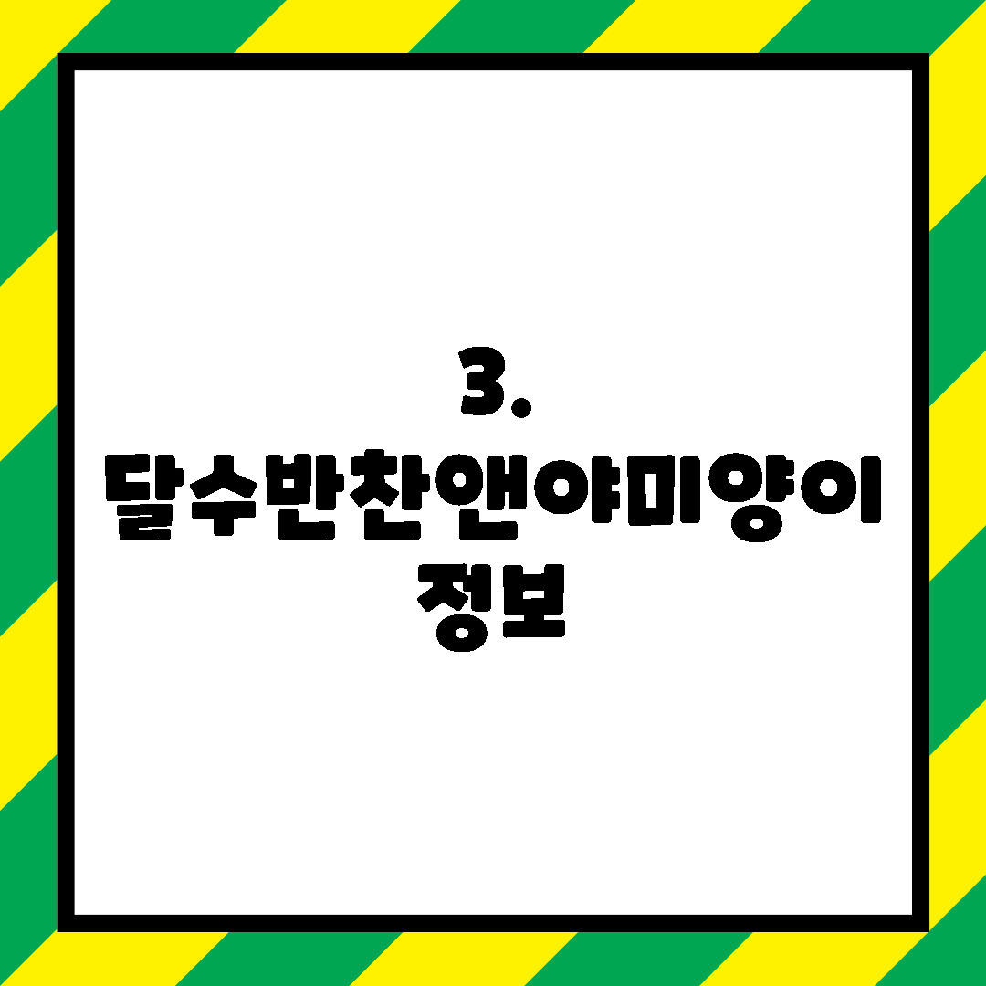 3. 달수반찬앤야미양이 정보
