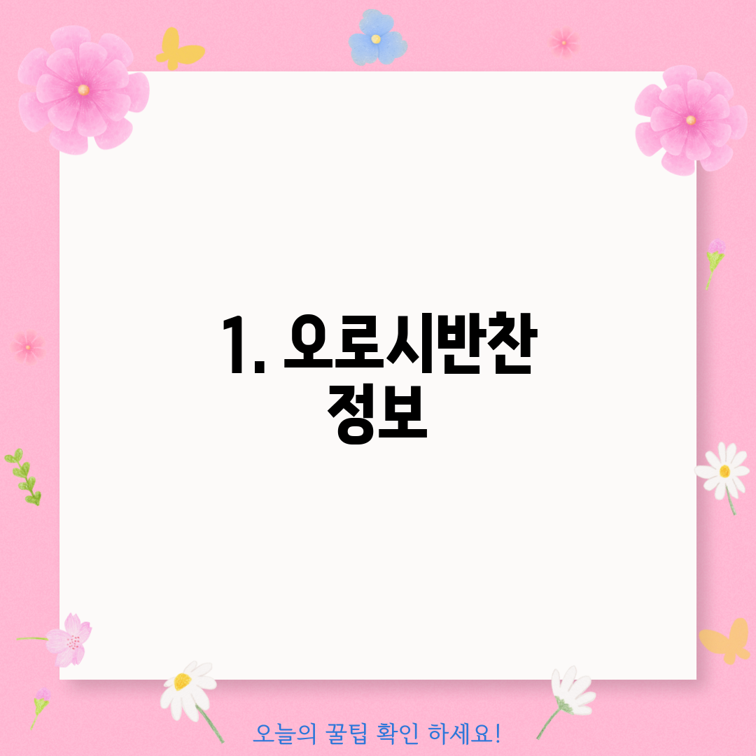 1. 오로시반찬 정보