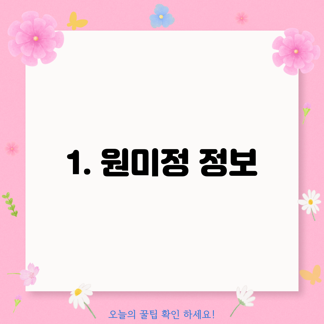 1. 원미정 정보