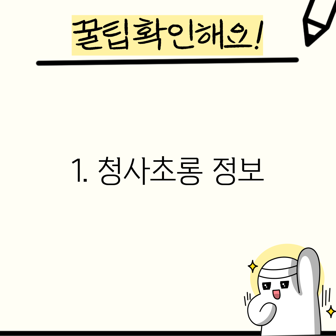 1. 청사초롱 정보