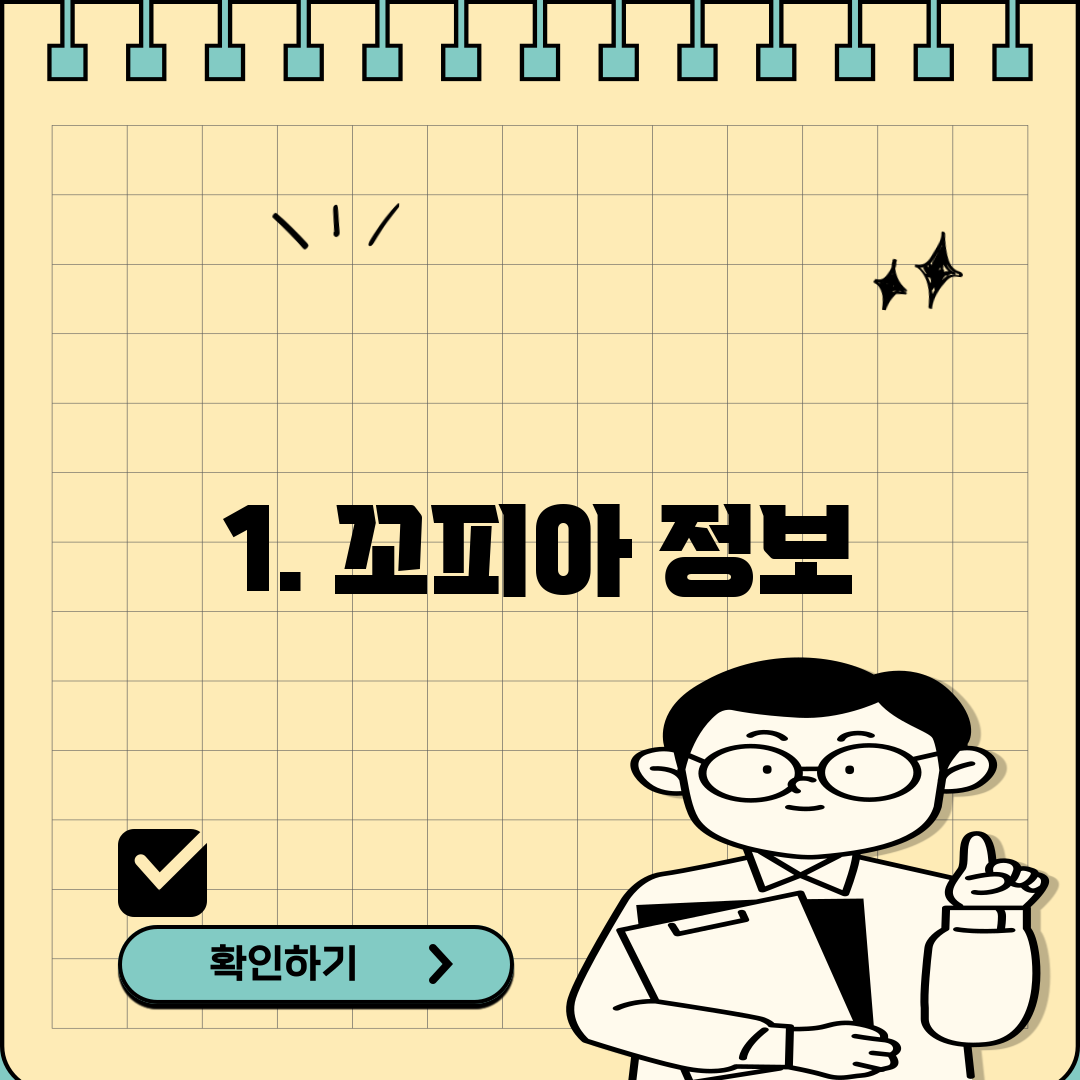 1. 꼬피아 정보