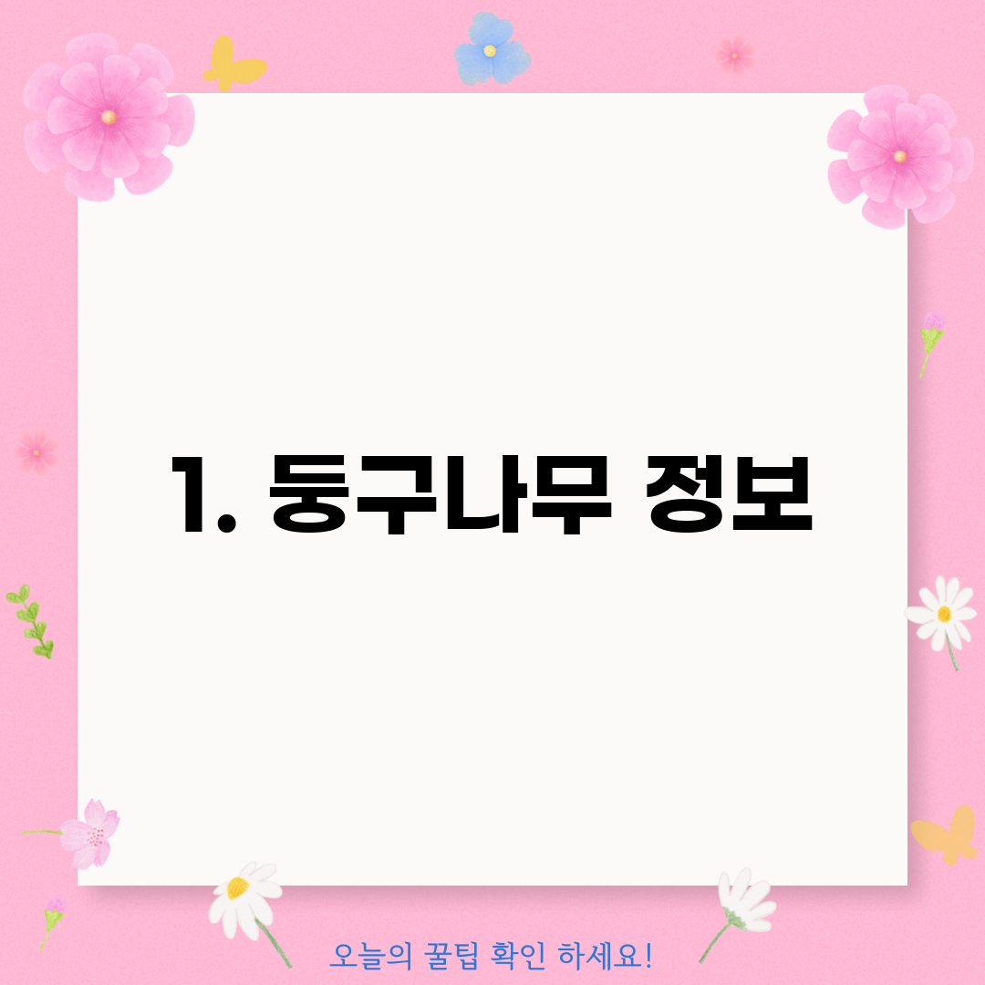 1. 둥구나무 정보