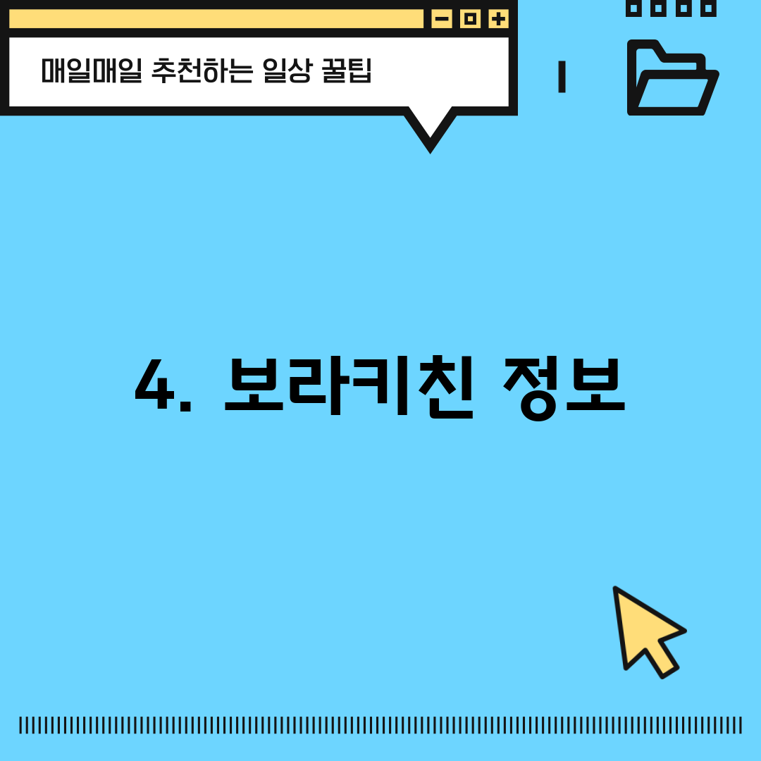 4. 보라키친 정보