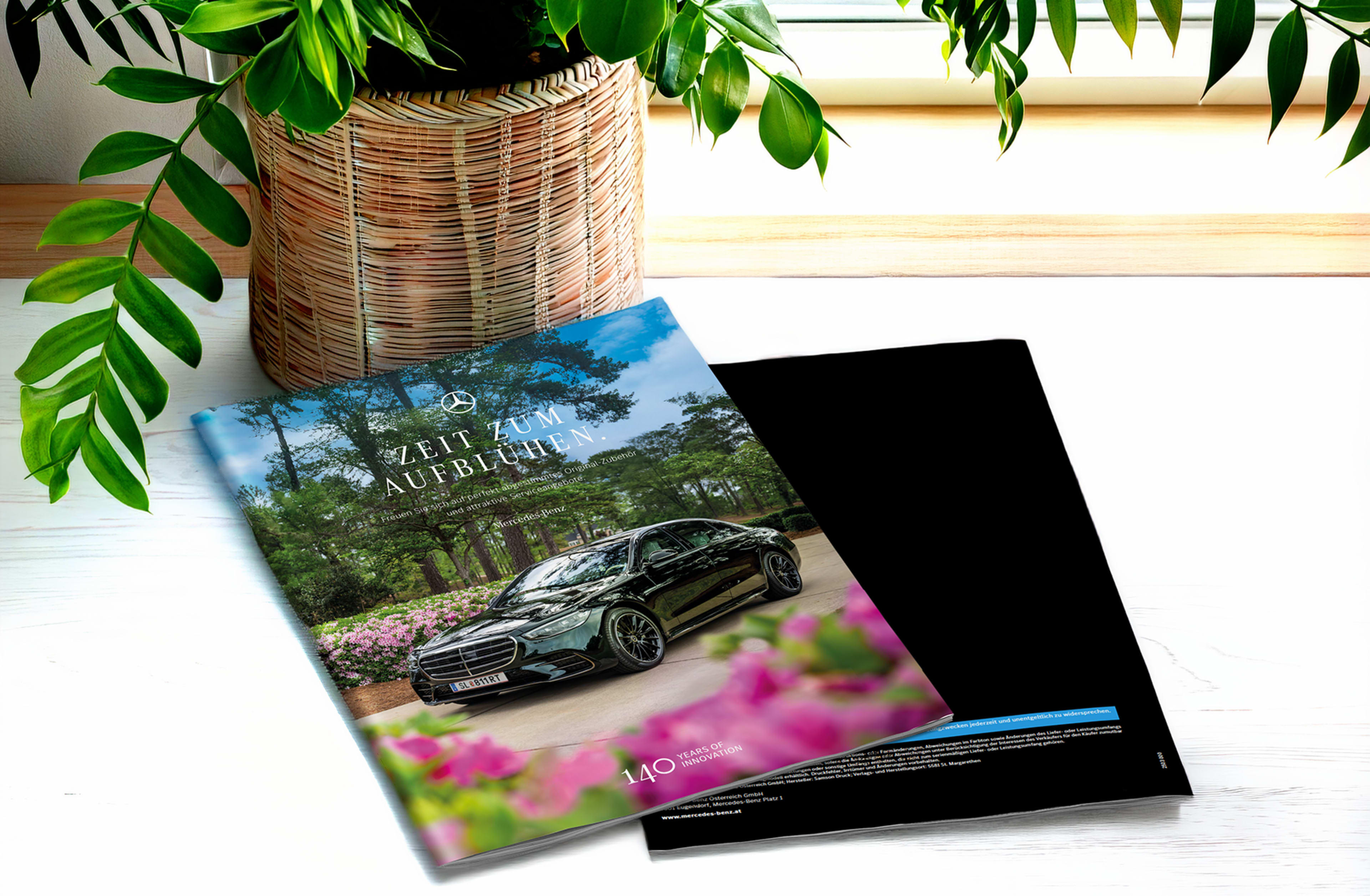 2026_Frühjahrsfolder_bvam2w