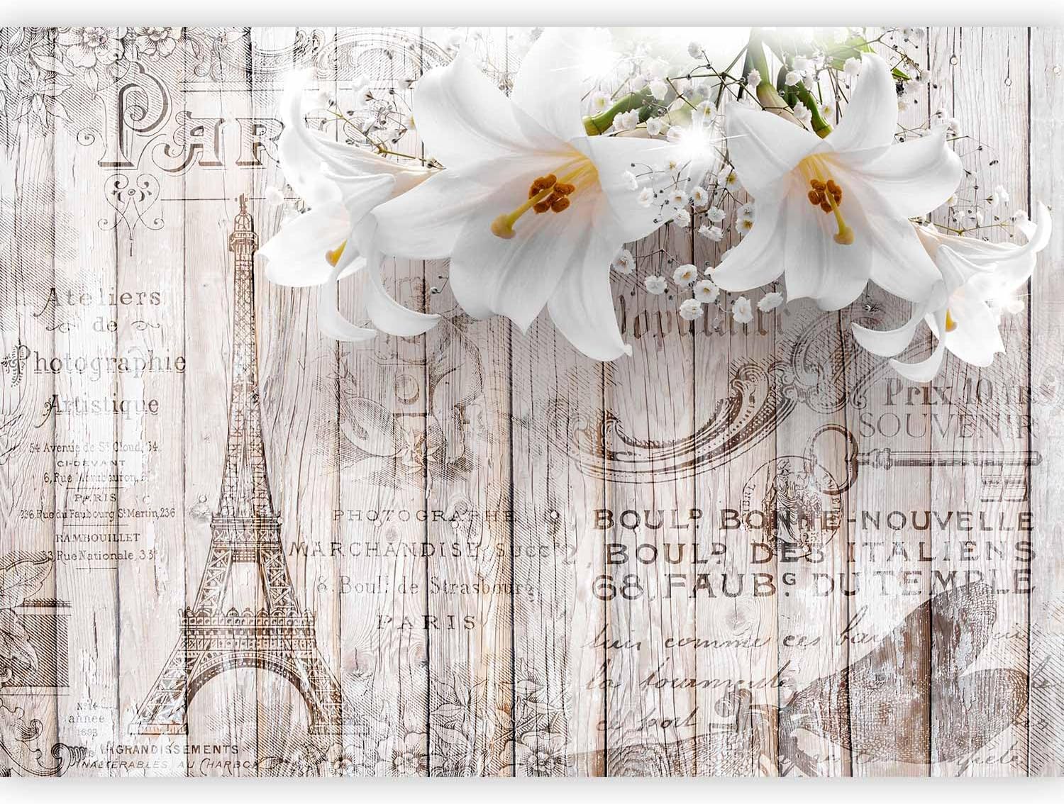 Murando Papier Peint Panoramique