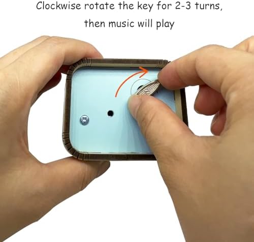 Vue 6 de Youtang Boite Musique