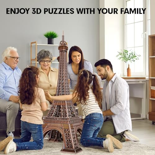 Vue 6 de Cubicfun Puzzle France