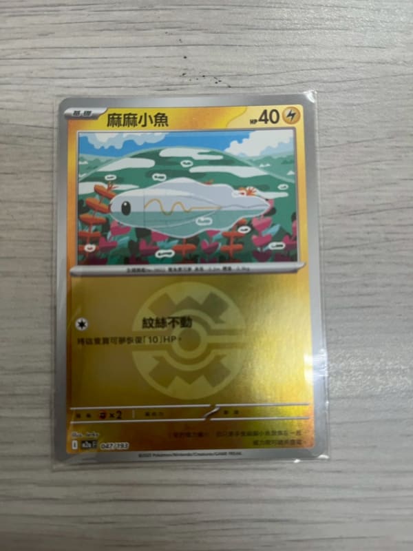 麻麻小魚