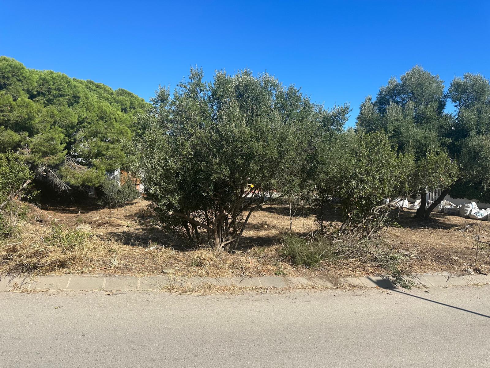 Terreno en venta en Calle Gregal 6F, Cadaqués — 12